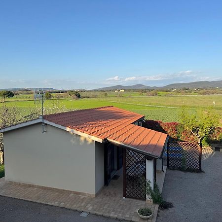 Agriturismo I Debbi Bibbona Exterior photo