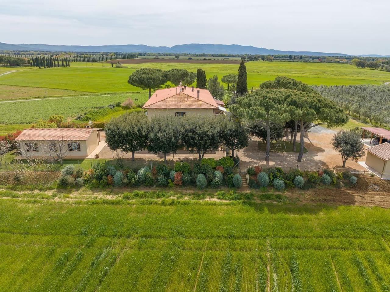 Agriturismo I Debbi Bibbona Exterior photo